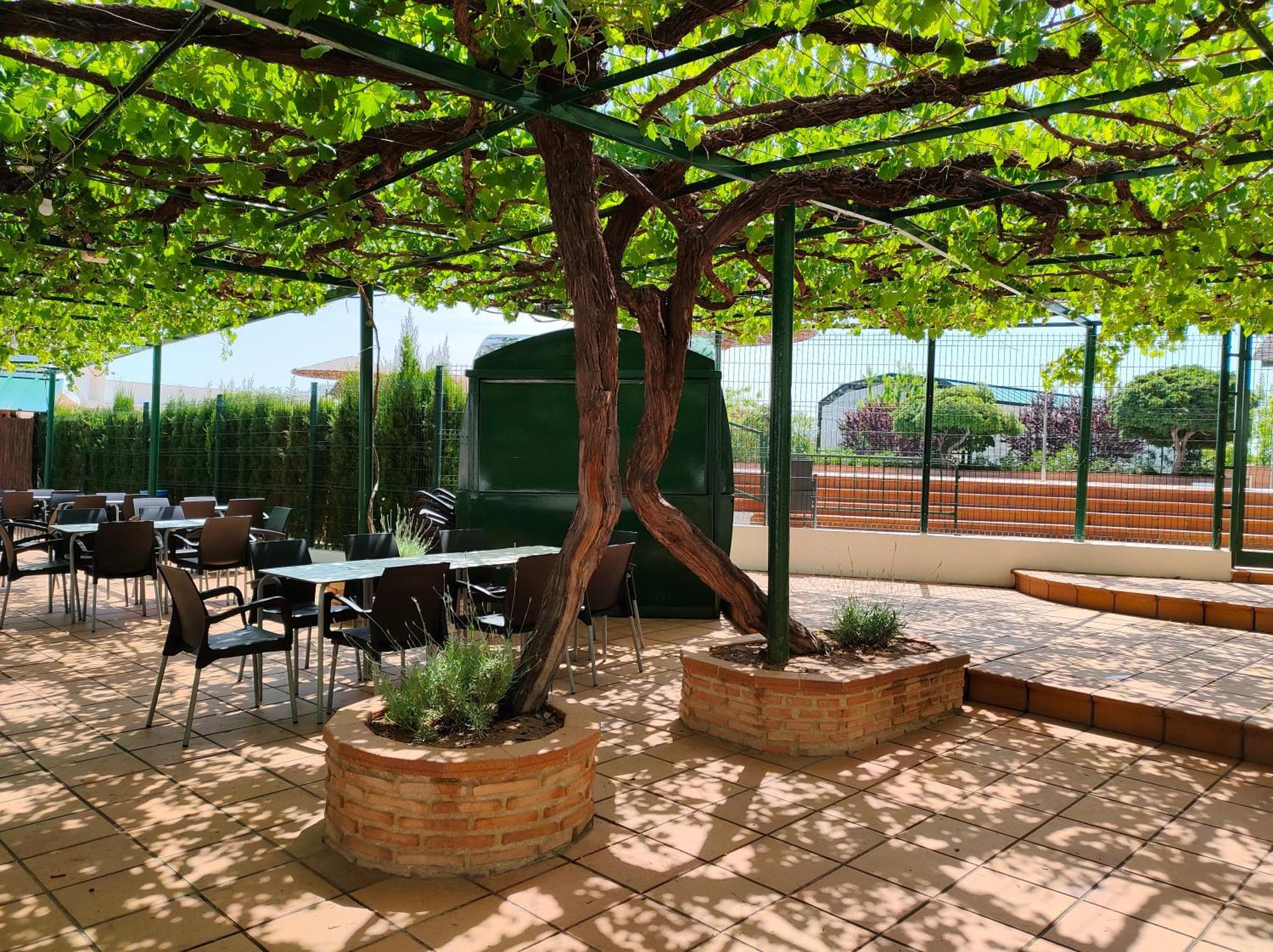 El Molino Hostal-Restaurante Jarafuel Εξωτερικό φωτογραφία